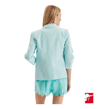Tyler Boe Taylor seersucker blazer size 4 NWT