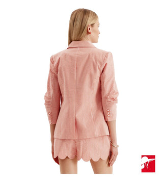 Tyler Boe Taylor seersucker blazer size 4 NWT