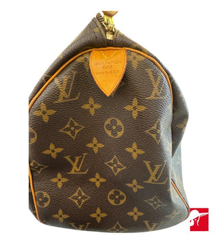 Louis Vuitton Speedy 30 handbag