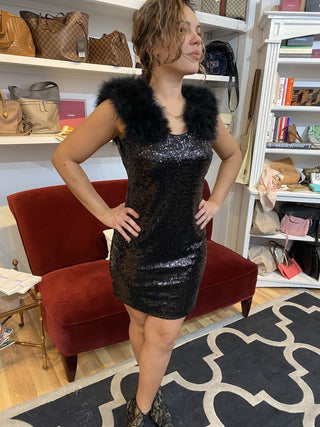 Tyler Boe Angie Sequin Feather Dress NEW size 2